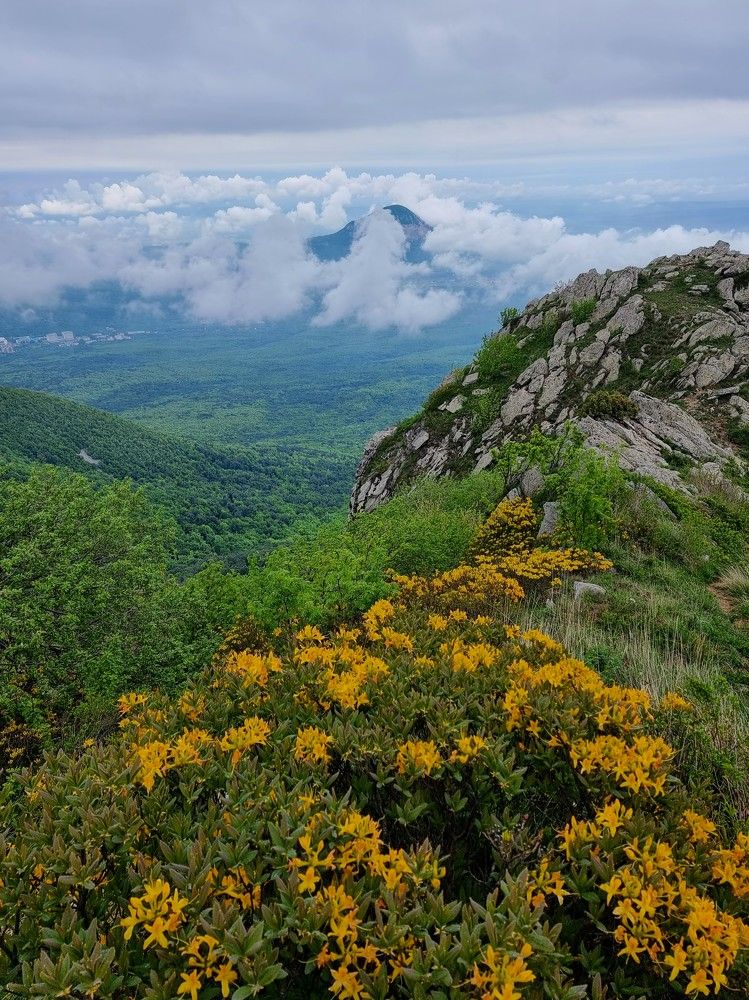 Photograph by Лидия Лащева