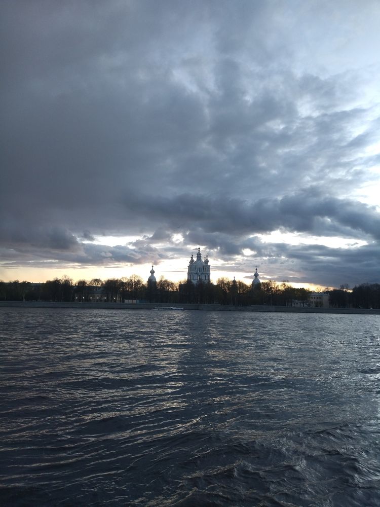 Photo #10590272