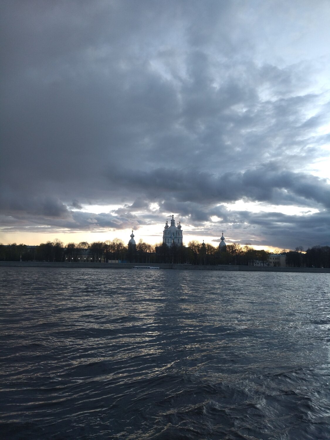 Photo #10590272