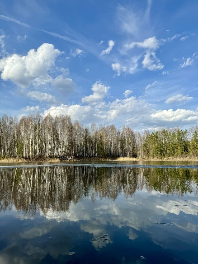 Фотография автора Евгения Елисеева