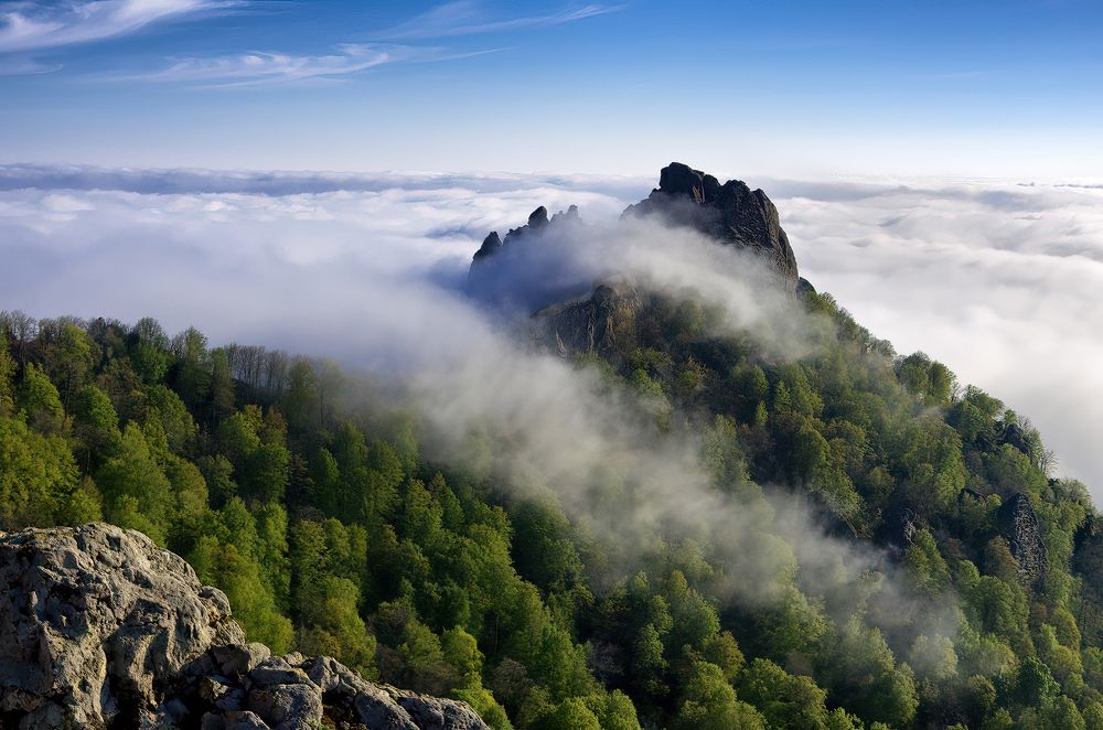 Уснувшая сила