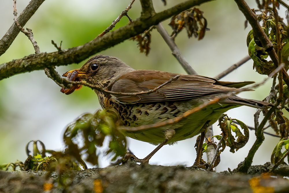 Photograph by Александр Соловьев