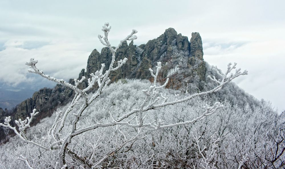 Февральские кружева