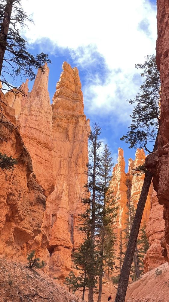 Photograph by Rosana Moyano