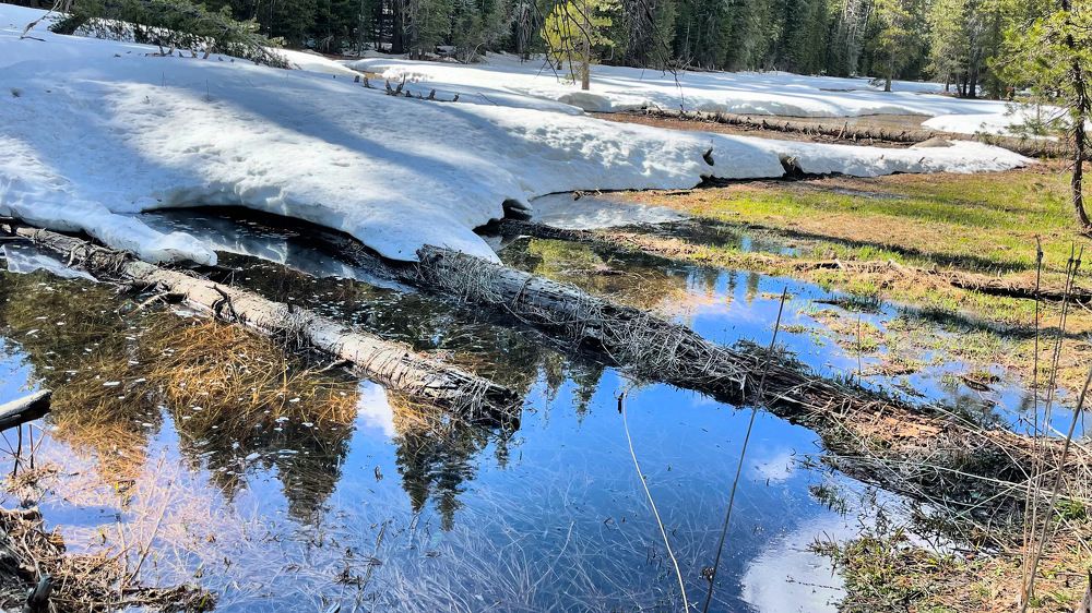 Photograph by Rosana Moyano