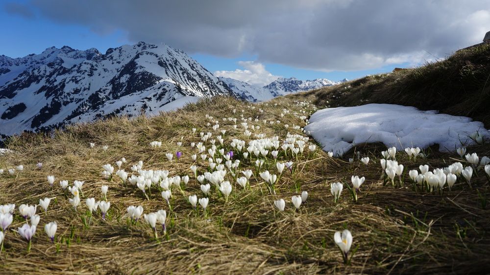 Photograph by Анастасия Морозова
