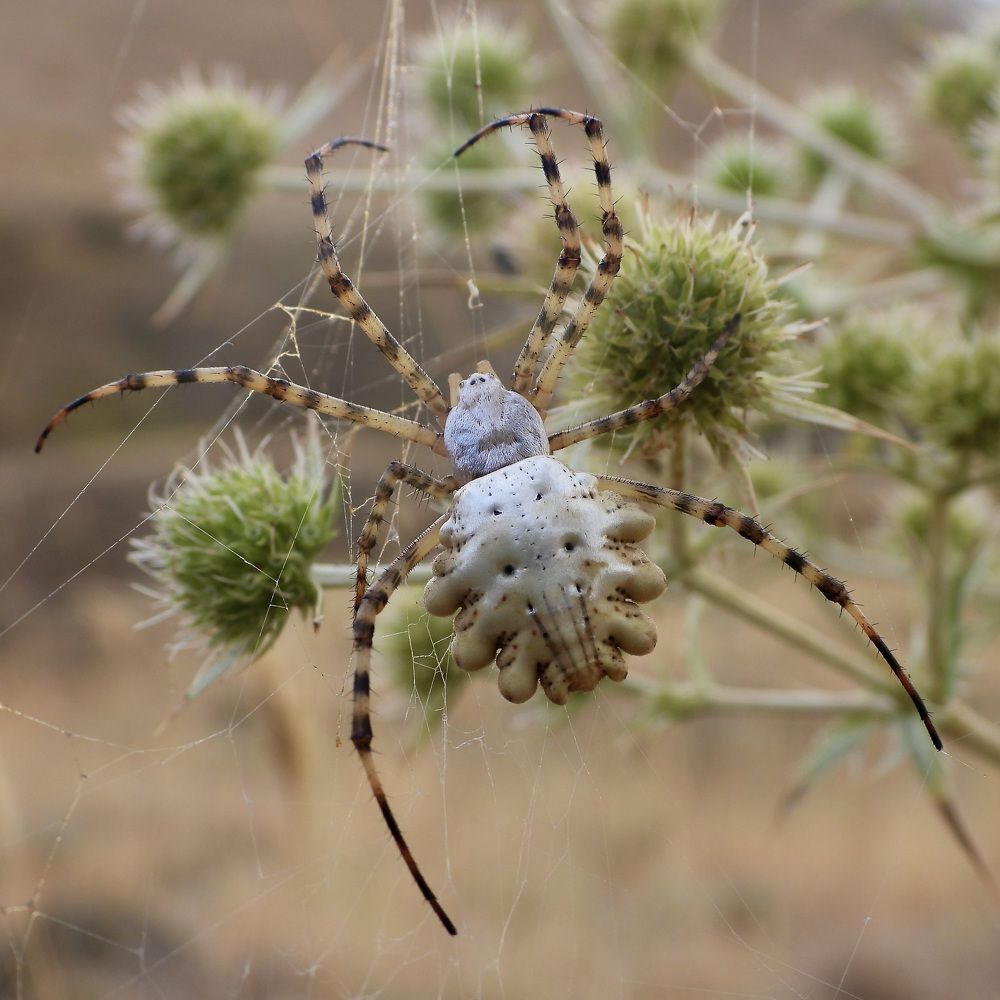 Photograph by Дмитрий Батагов