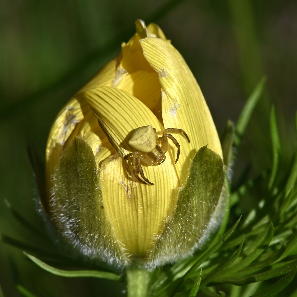 Photograph by Дмитрий Батагов