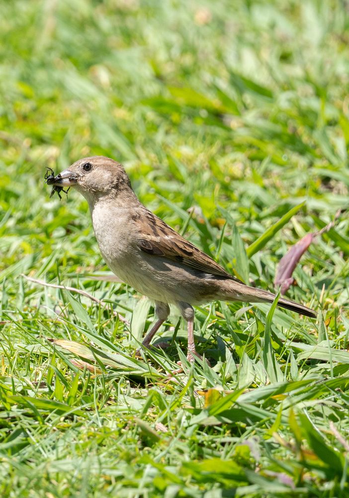 Photograph by David Dores