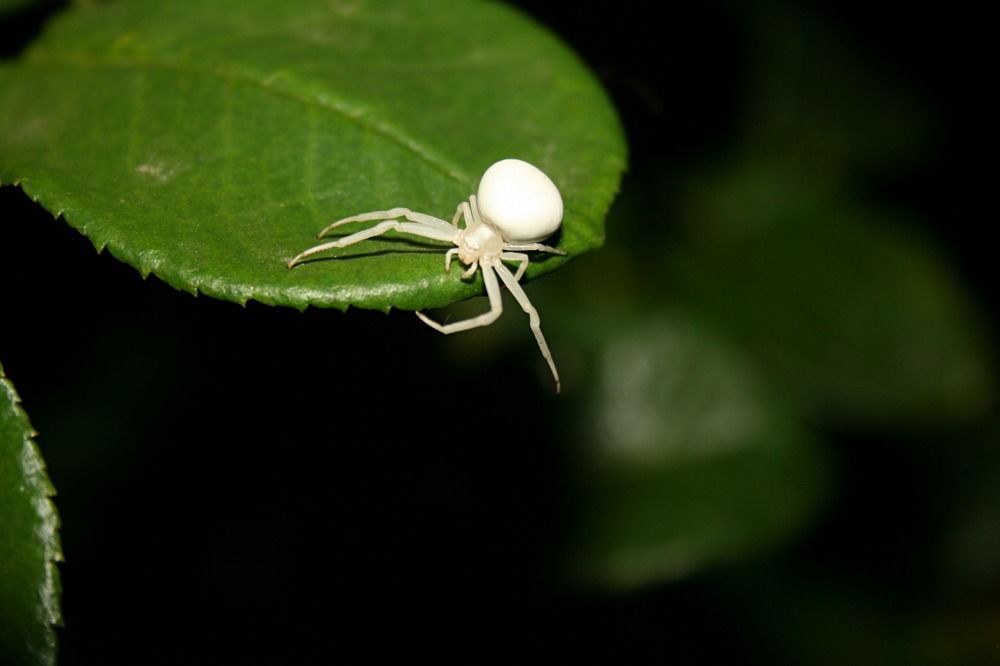 Photograph by Виктория