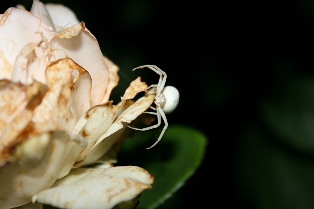 Photograph by Виктория