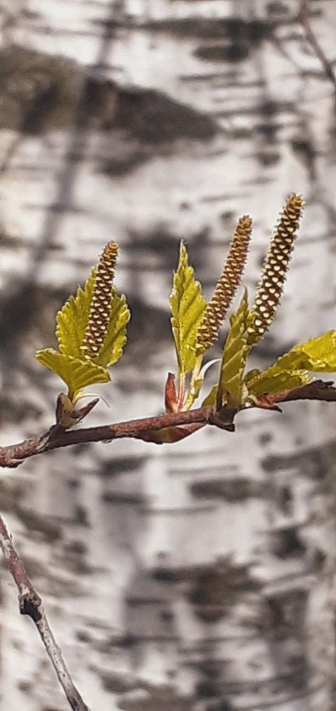 Photograph by Евгения Ульянова