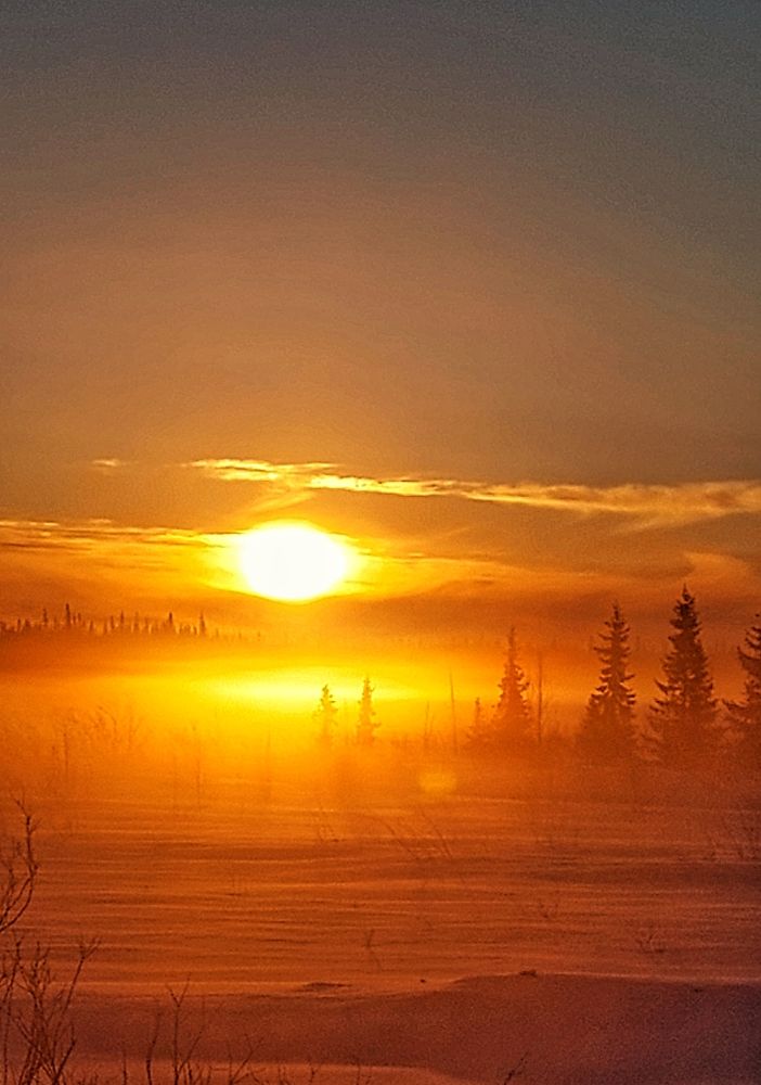 Photograph by Александр Бакин