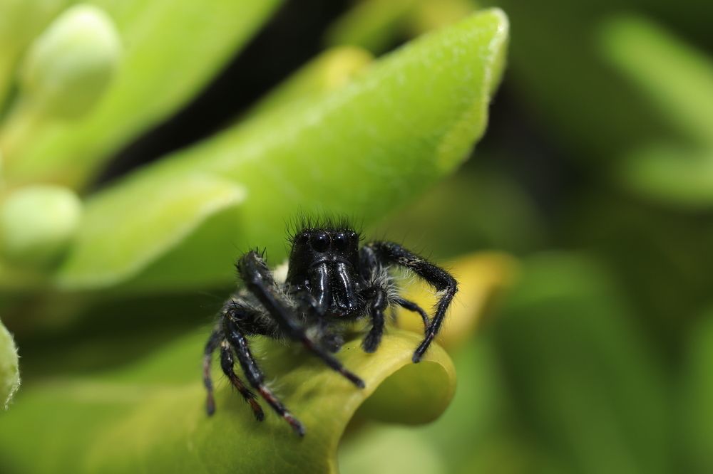 Photograph by Se Lena