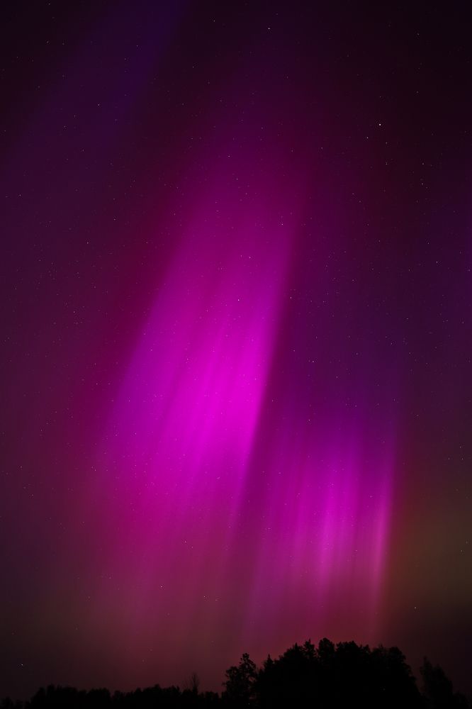 Фотография автора Inga Ivanova