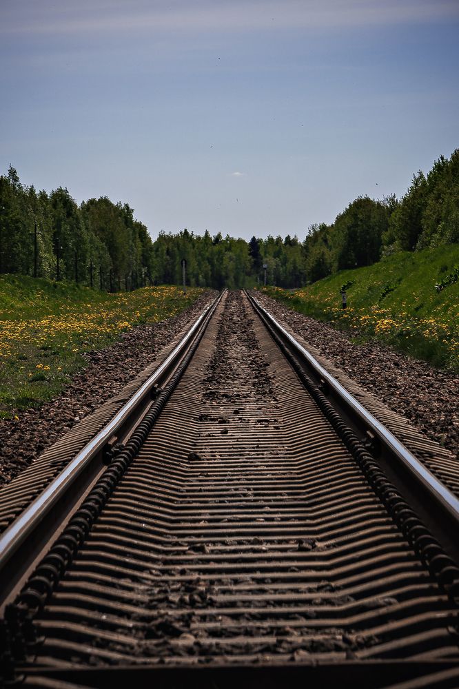 Photograph by Andrei Naliahach