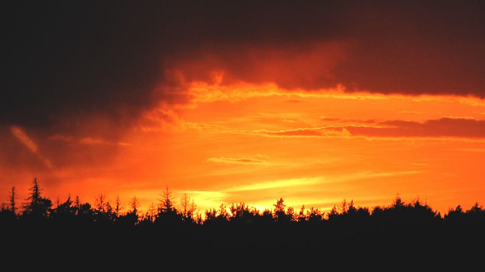 Красный закат Удивительный летний фон восхода солнца Красивый пылающий закат