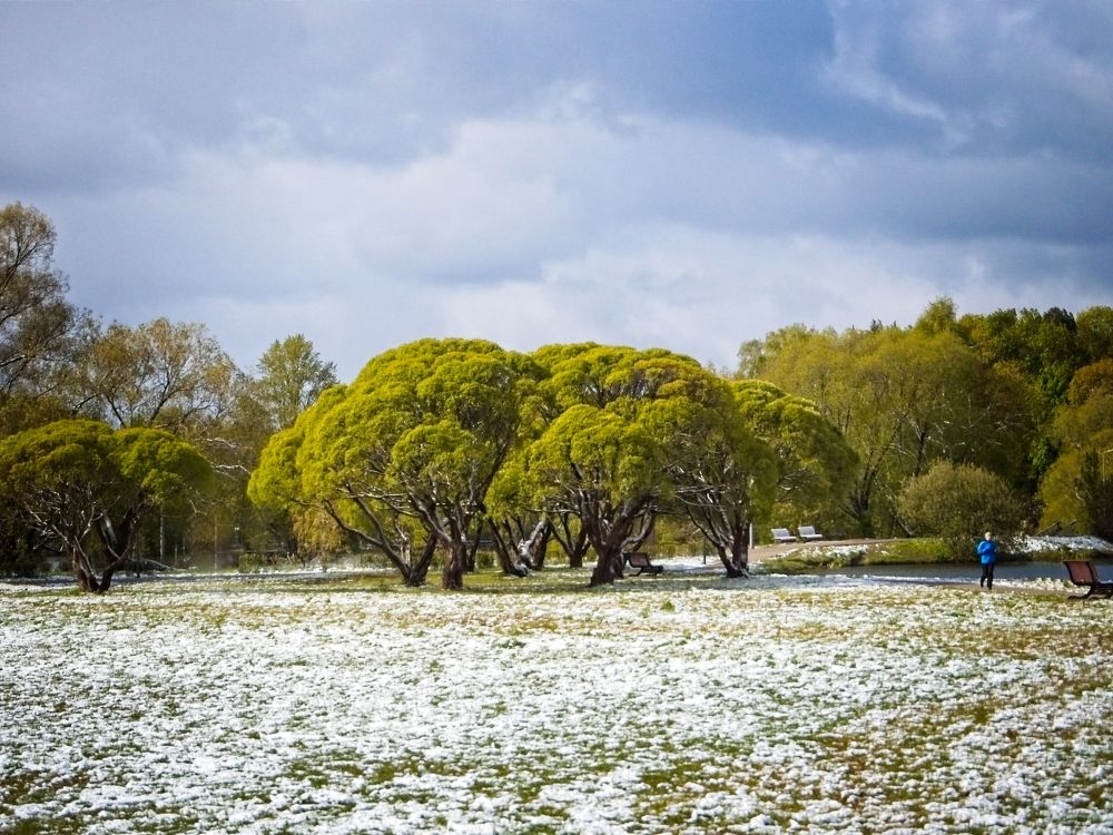 Photograph by Илюшечкина Екатерина