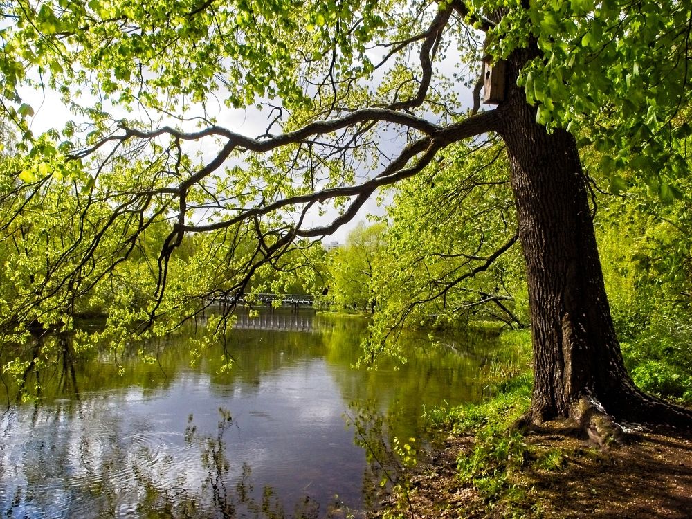 Photograph by Илюшечкина Екатерина