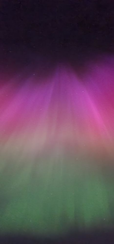 Photograph by Natasha Kim