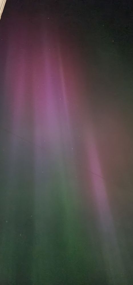 Photograph by Natasha Kim