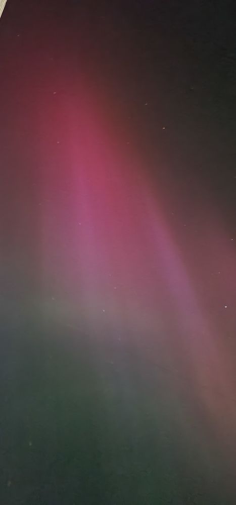 Photograph by Natasha Kim