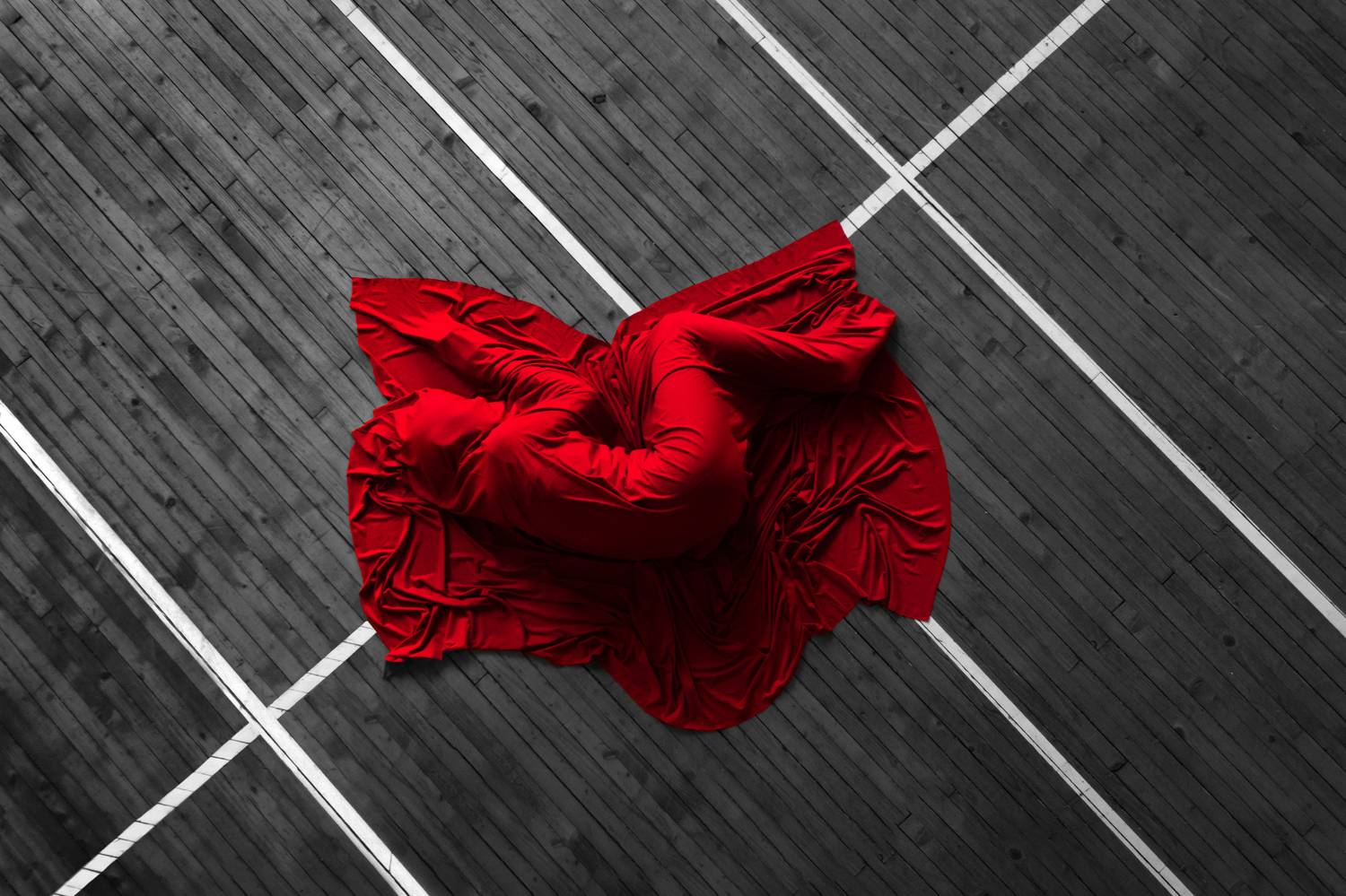 Photo #10590900