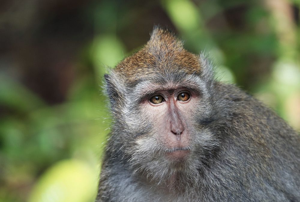 Photograph by Raed Victor Saad