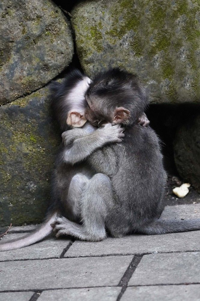 Photograph by Raed Victor Saad