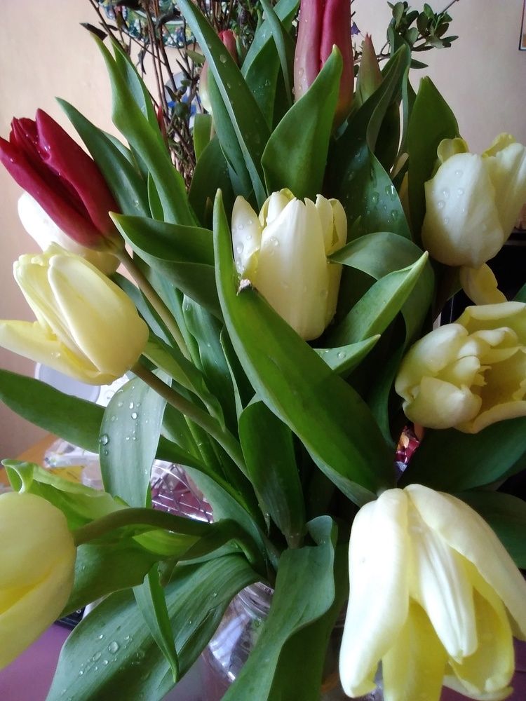 Photograph by Смирнов Сергей