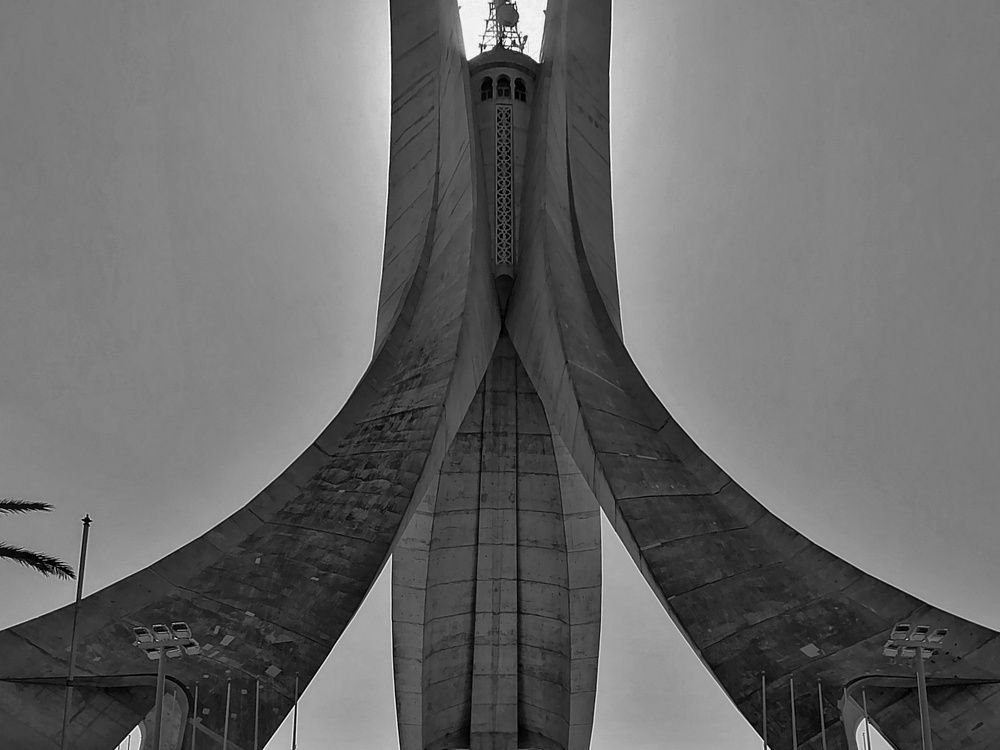 Photograph by MEMMOU Azza