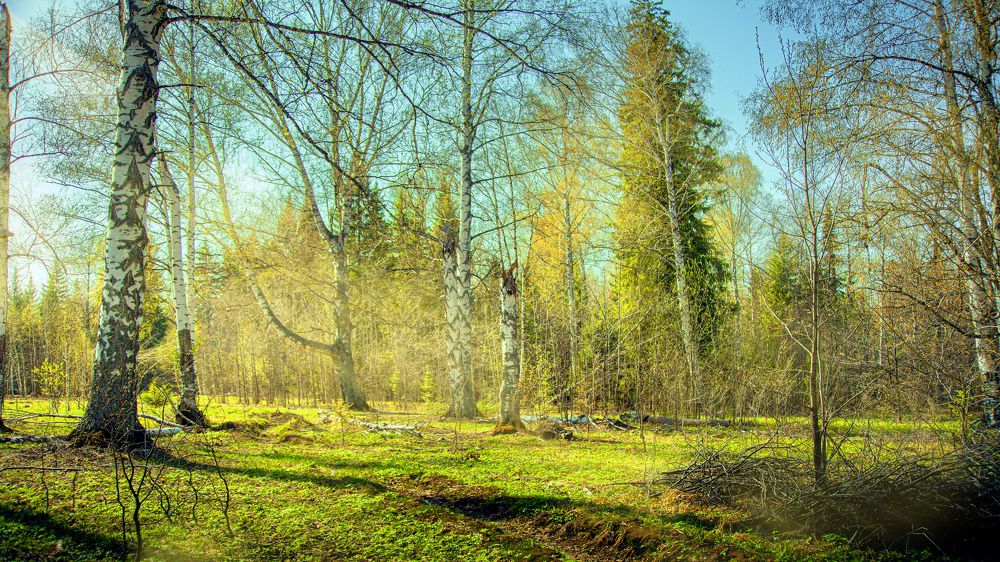 Photograph by Elena Dementova