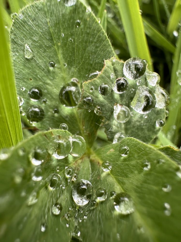 Photograph by Екатерина Балакина