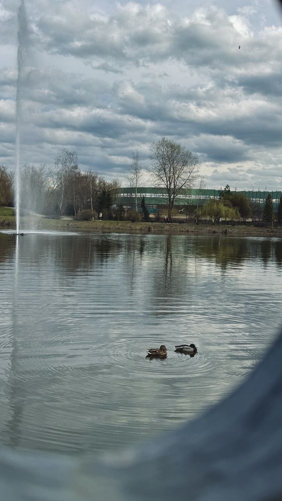 Photograph by Oxana Petlina