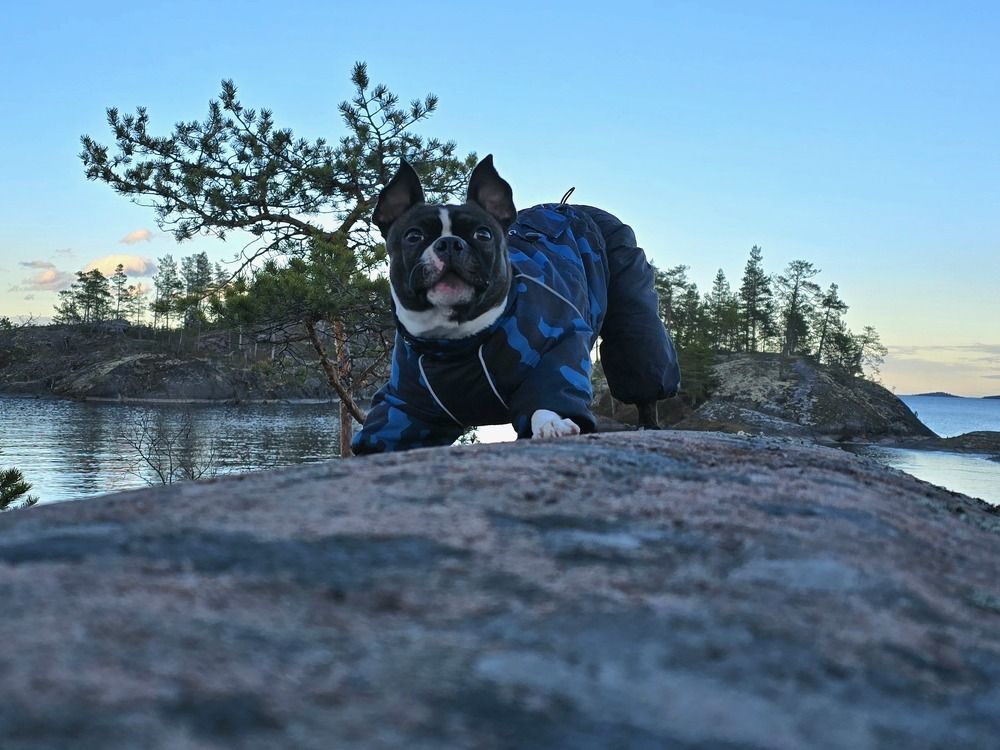 Photograph by Анна