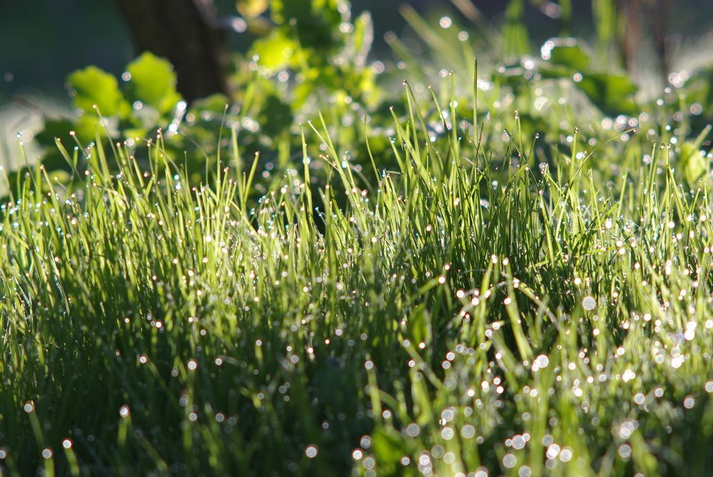 Photograph by Anastasia Perez