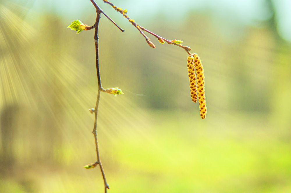 Photograph by Aleksei Romanov