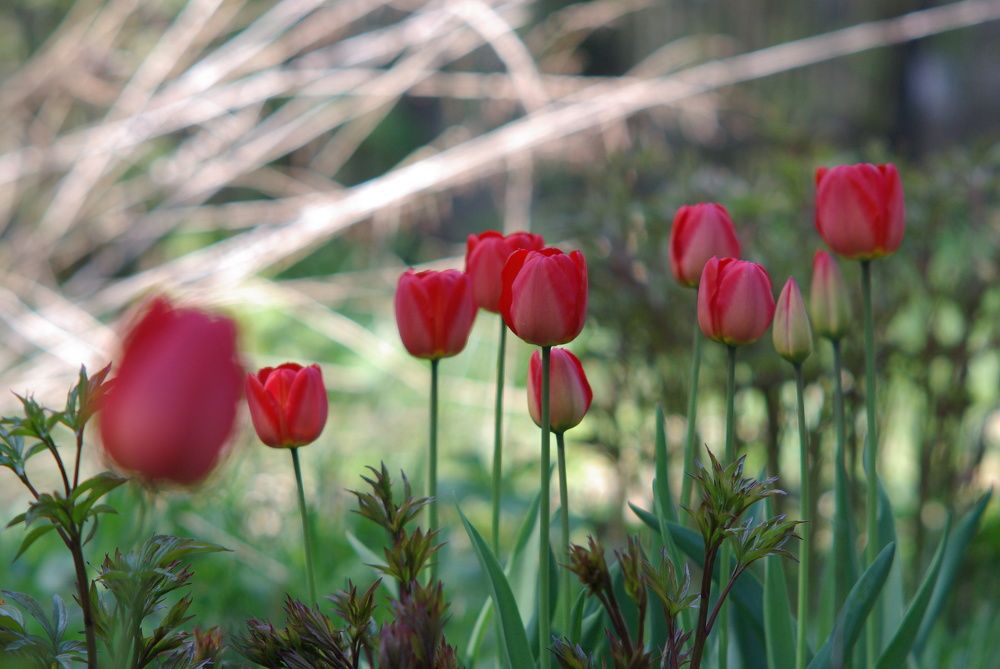 Photograph by Anastasia Perez