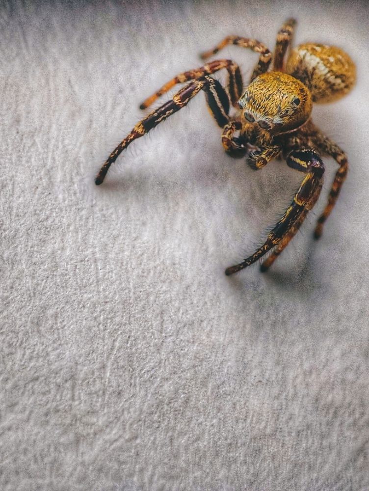 Photograph by Konstantin Martynov