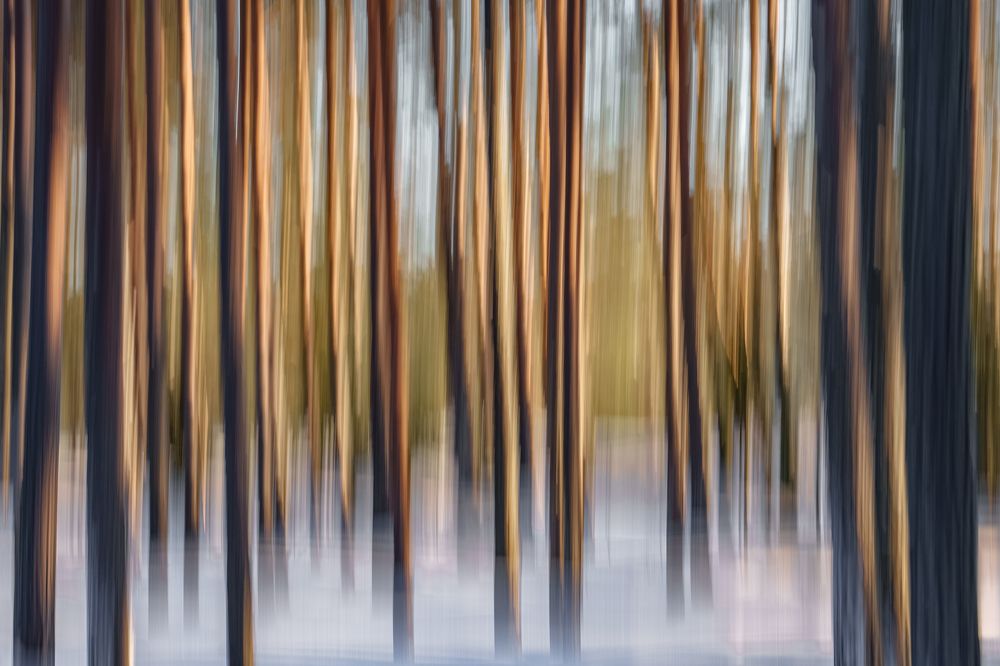 Photograph by Наталия Полякова