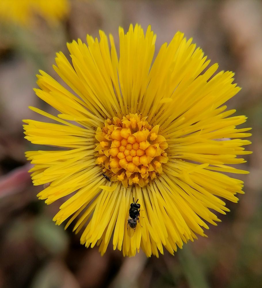 Photograph by Елена Казакова