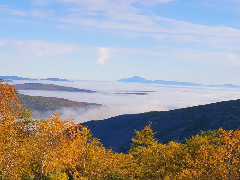 Photograph by Валерия Столбова