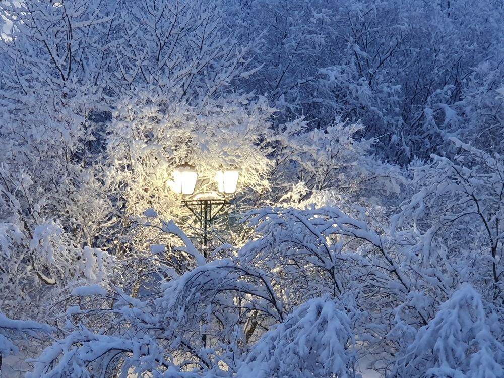 Photograph by Валерия Столбова