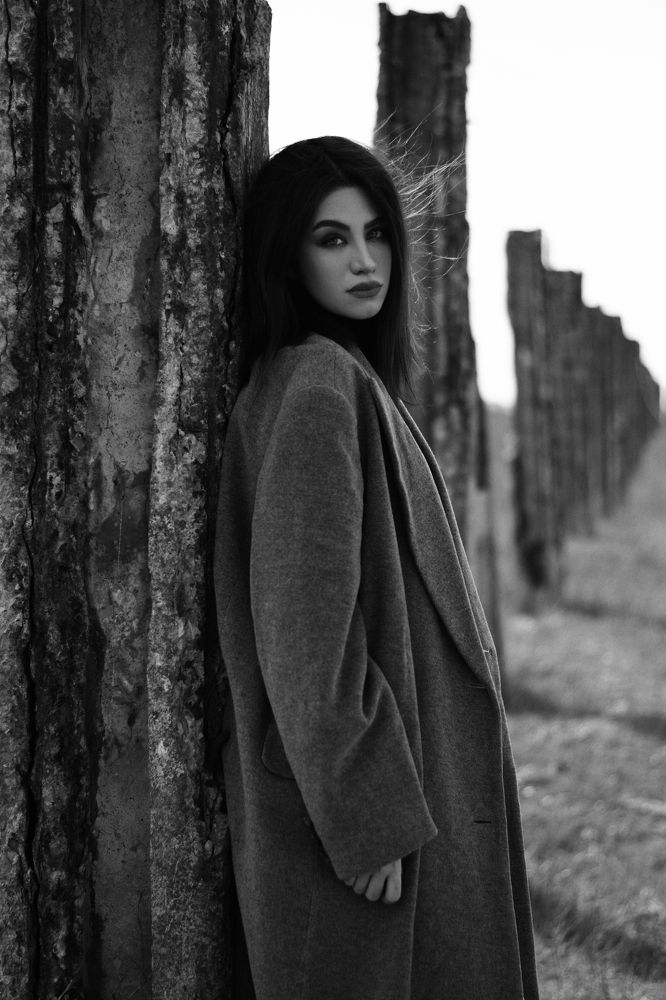 Photograph by Kasra Saadatju