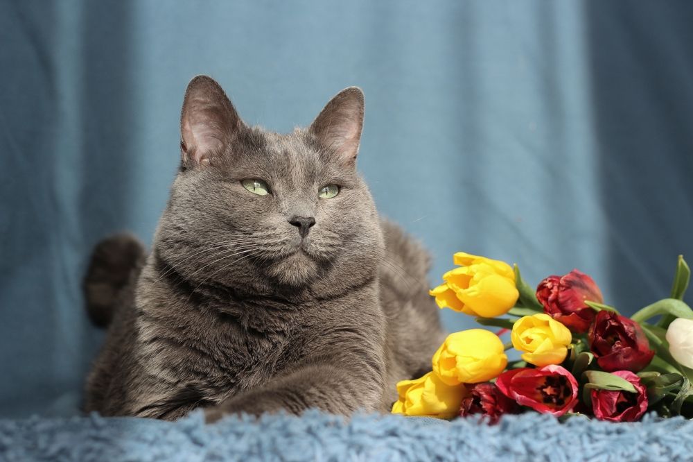 Photograph by Мария Мельникова