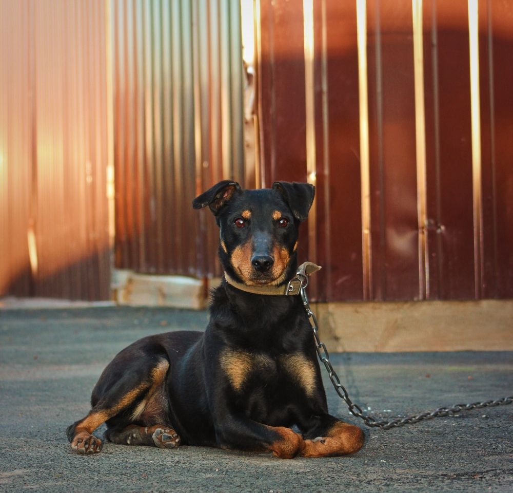 Photograph by Мария Мельникова