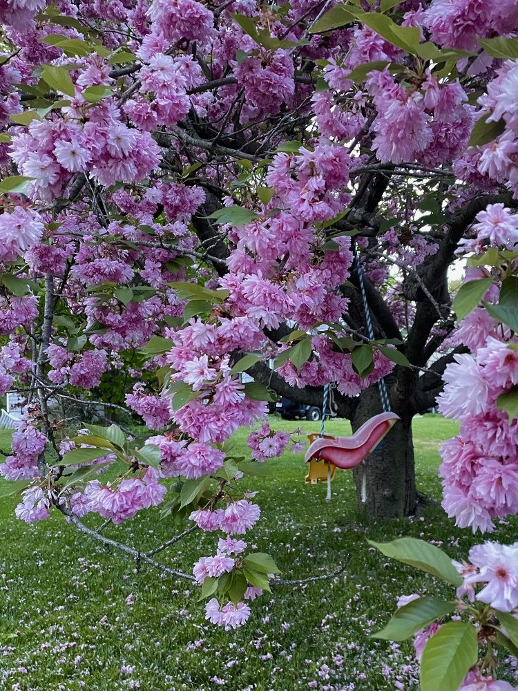 Фотография автора Olga Andriuc