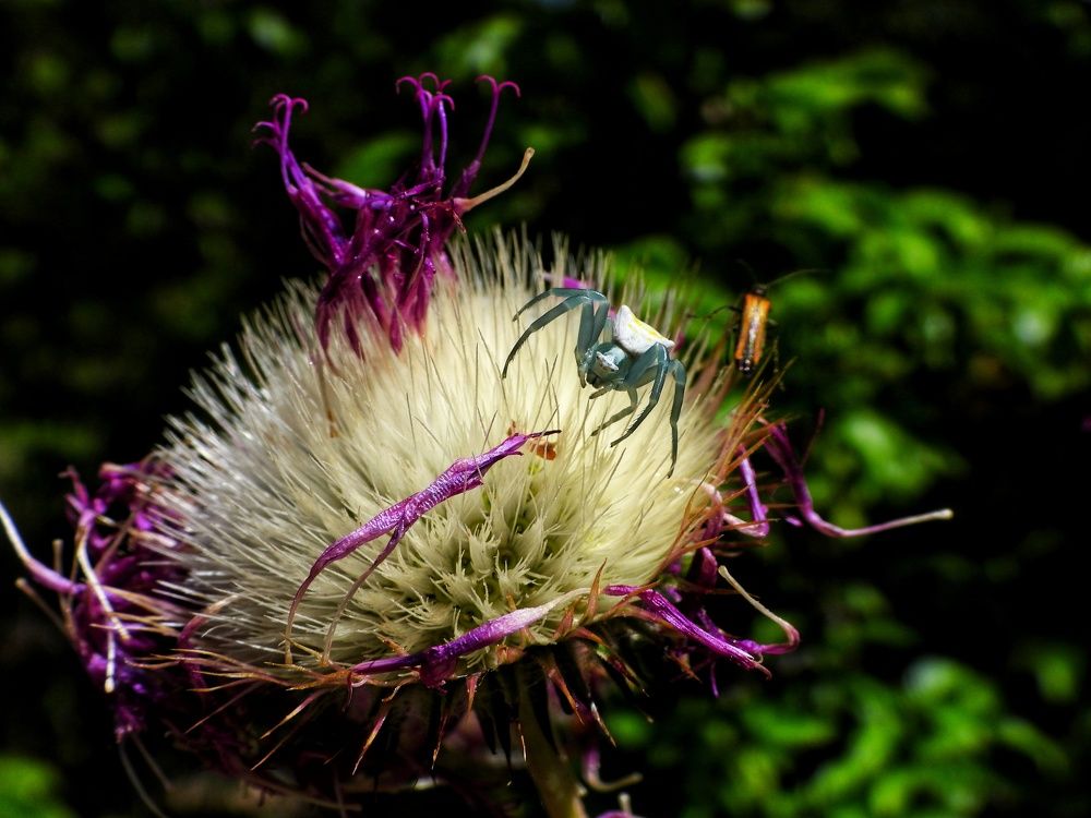 Photograph by Дмитрий Батагов