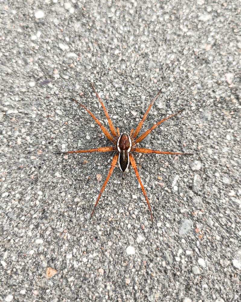 Фотография автора Александр Хухлов