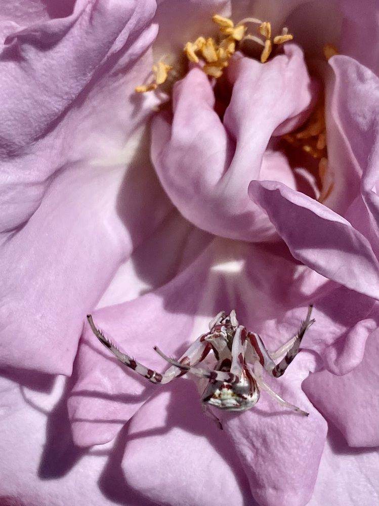 Photograph by Евгения Казакова